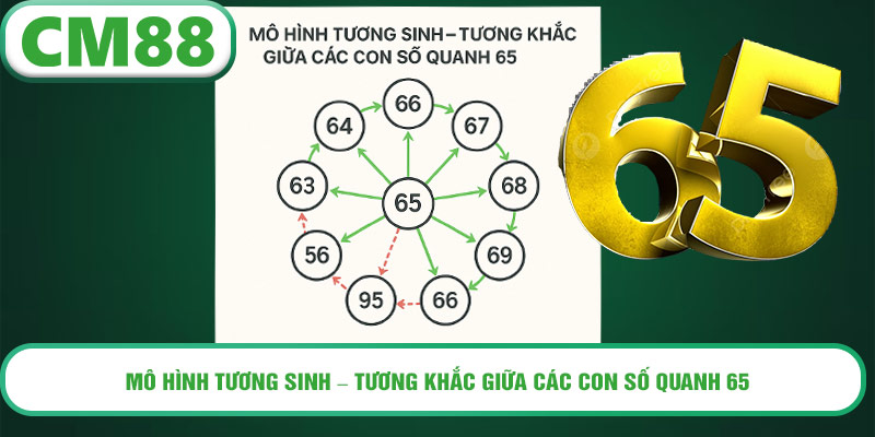 Mô hình tương sinh – tương khắc giữa các con số quanh 65